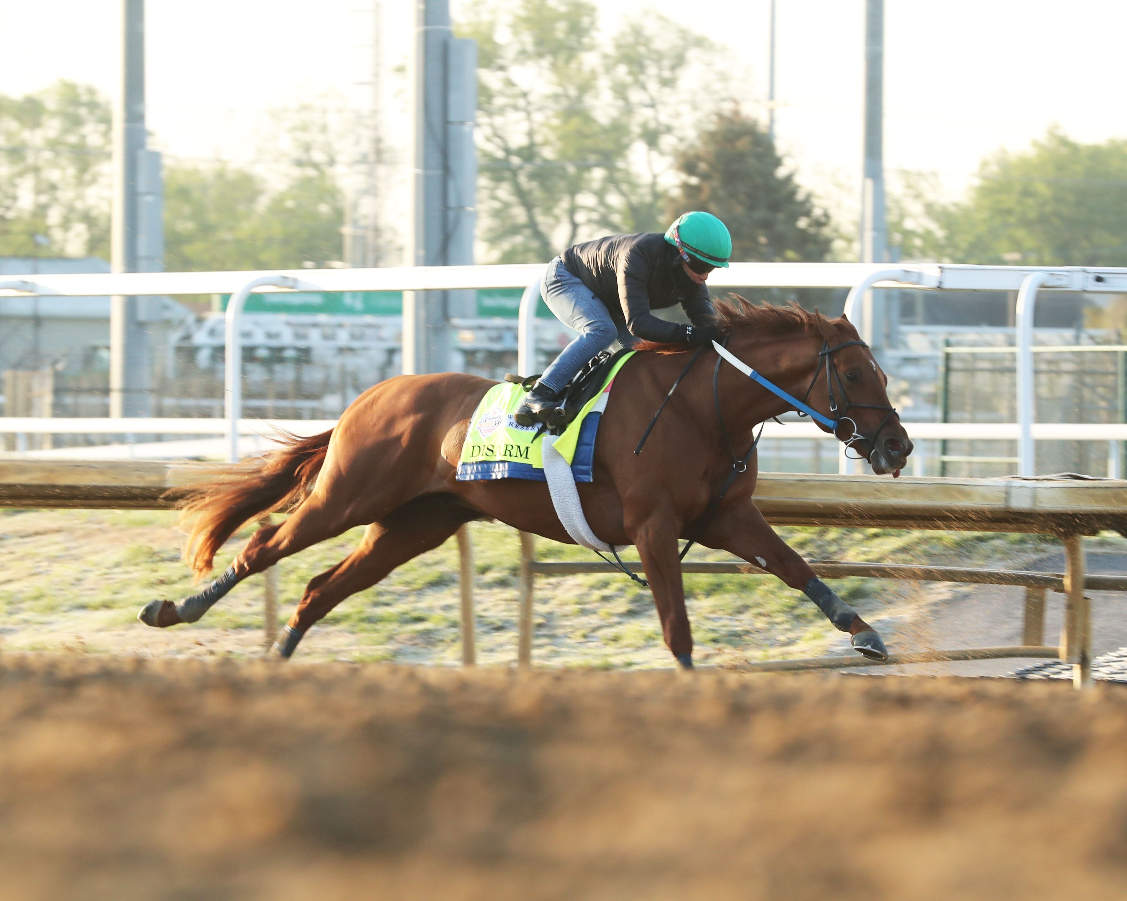 Diarm works for the Kentucky Derby 2023 (Photo by Coady Photography/Churchill Downs)