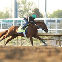 Diarm works for the Kentucky Derby 2023 (Photo by Coady Photography/Churchill Downs)