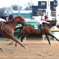 Disco Time wins at Churchill Downs.