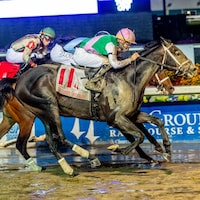 Disco Time winning the Lecomte S. (G3) at Fair Grounds. (Photo by Hodges Photography)