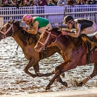 Disco Time winning the Lecomte (G3) at Fair Grounds. (Photo by Hodges Photography/Amanda Hodges Weir)