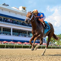 Disruptor breaking his maiden at Gulfstream Park (Photo by Coglianese Photos/Ryan Thompson)