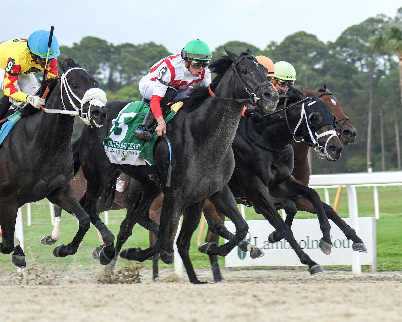Domestic Product winning the Tampa Bay Derby (G3) at Tampa Bay Downs (Photo by SV Photography)