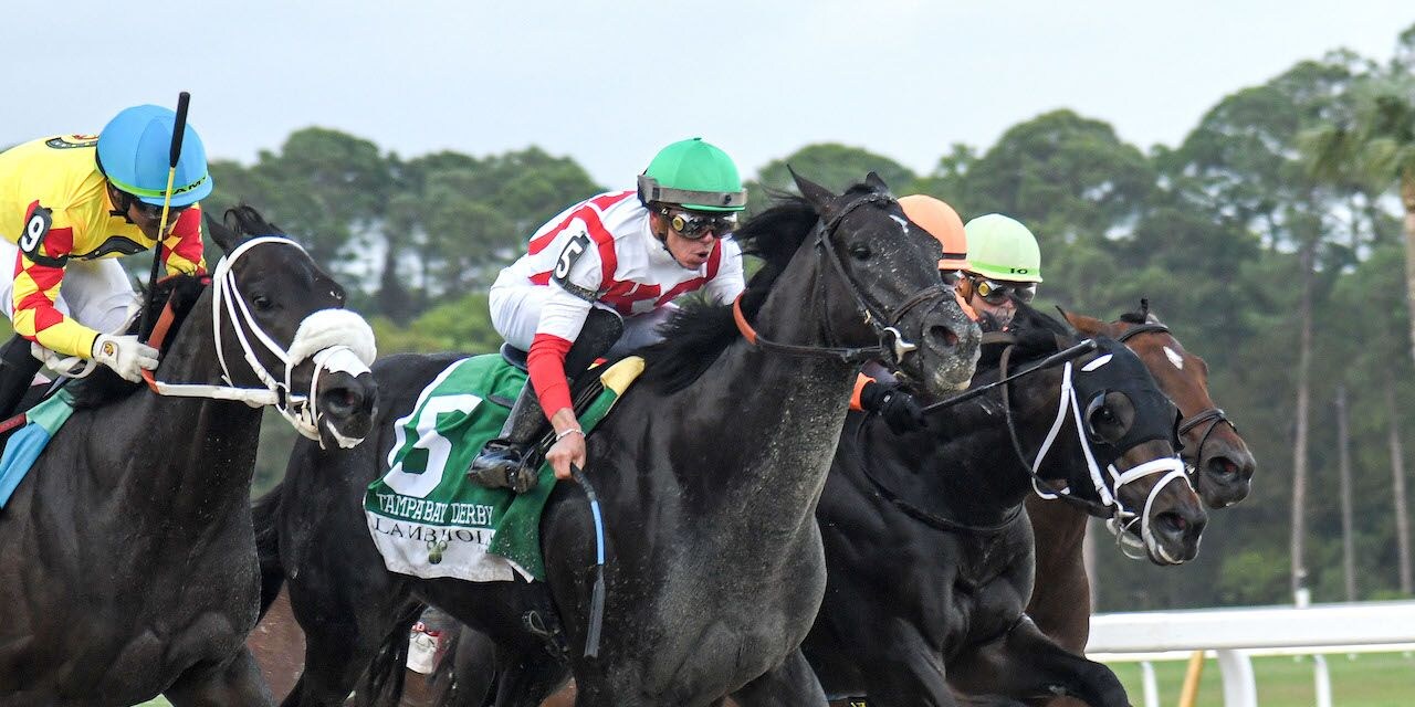Domestic Product winning the Tampa Bay Derby (G3) at Tampa Bay Downs (Photo by SV Photography)
