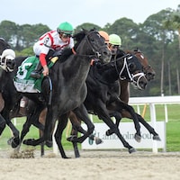 Domestic Product winning the Tampa Bay Derby (G3) at Tampa Bay Downs (Photo by SV Photography)