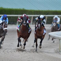 Dornoch winning the Fountain of Youth Stakes in 2024