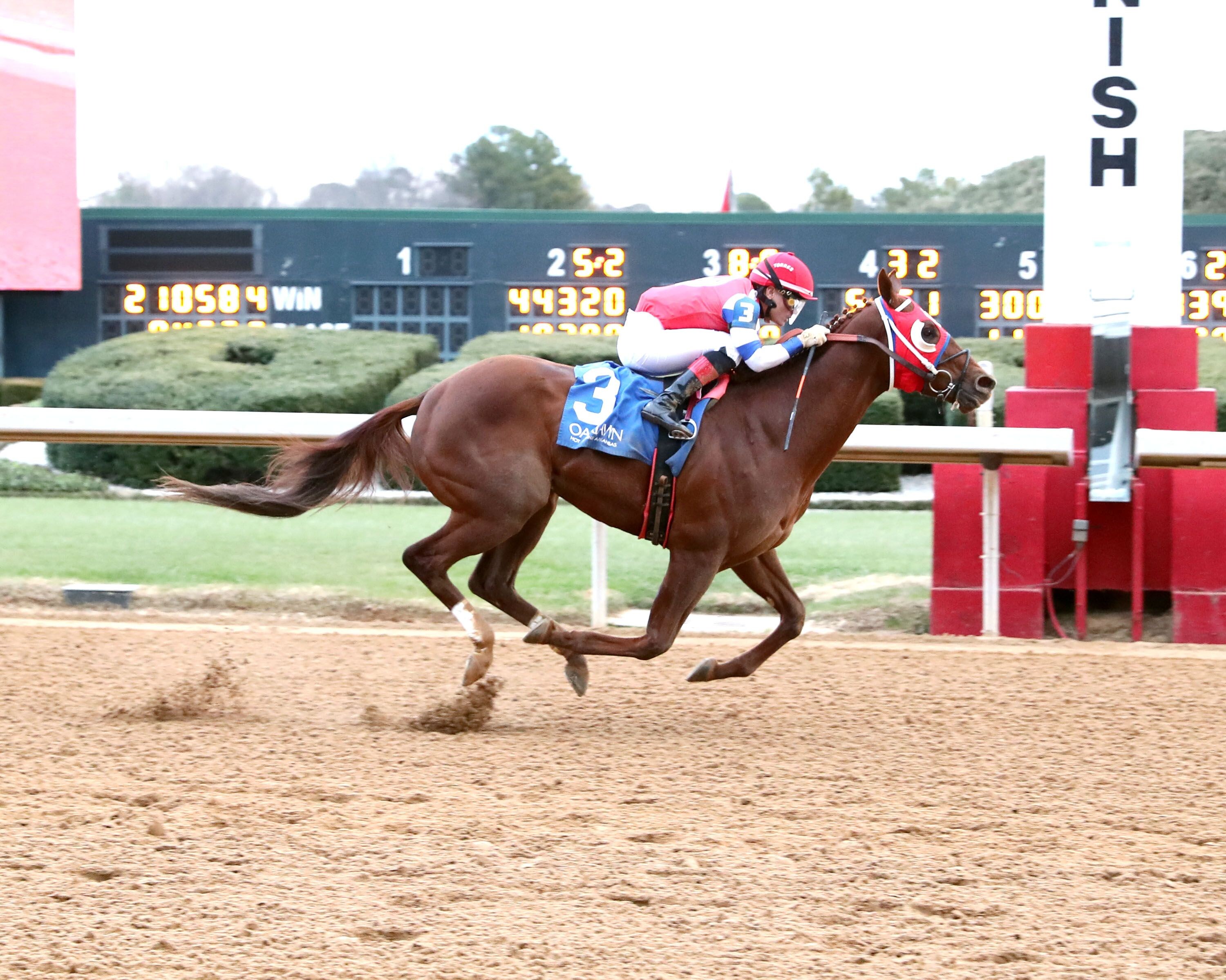 Dreaminblue wins at Oaklawn Park.