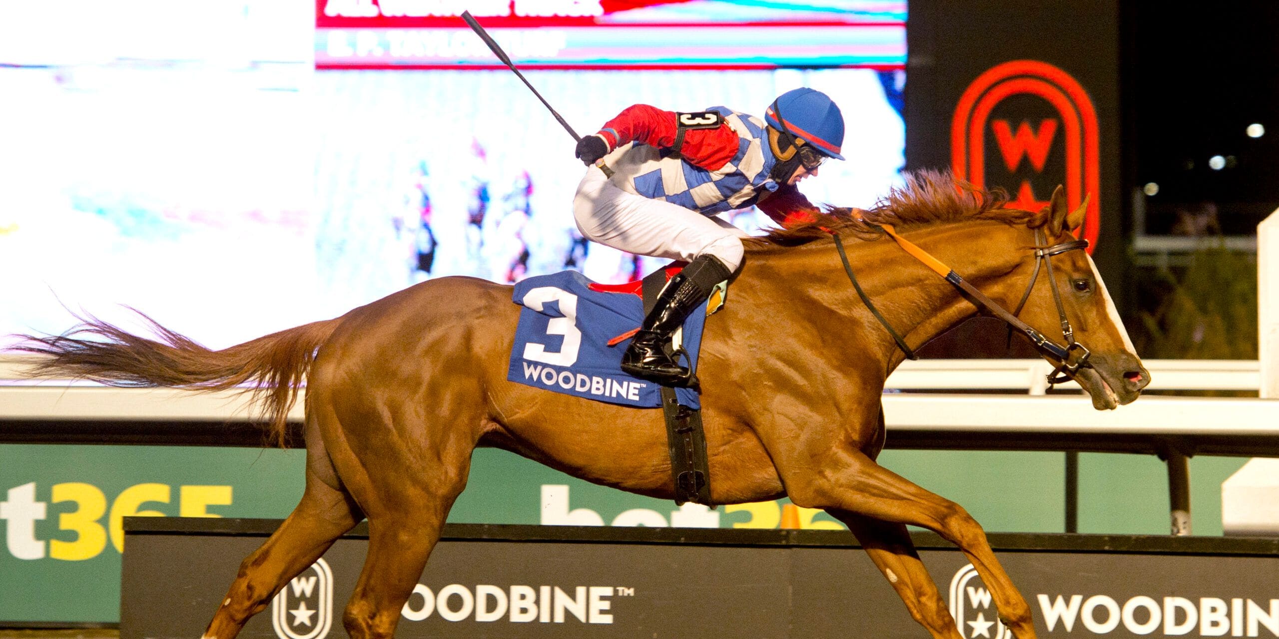 Dresden Row wins the HPibet Autumn Stake at Woodbine. 