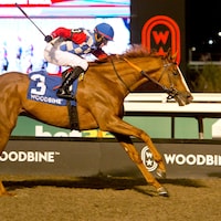 Dresden Row wins the HPibet Autumn Stake at Woodbine.