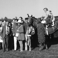 1970 Kentucky Derby winner Dust Commander