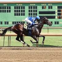 East Avenue wins at Ellis Park