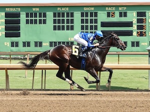 East Avenue wins at Ellis Park