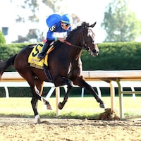 East Avenue winning the Breeders' Futurity (G1) at Keeneland (Photo by Coady Media)