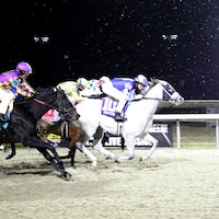 Empire West breaking his maiden at Turfway Park