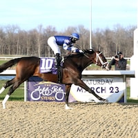 Endlessly winning the Jeff Ruby Steaks (G3) at Turfway Park (Photo by Coady Photography)