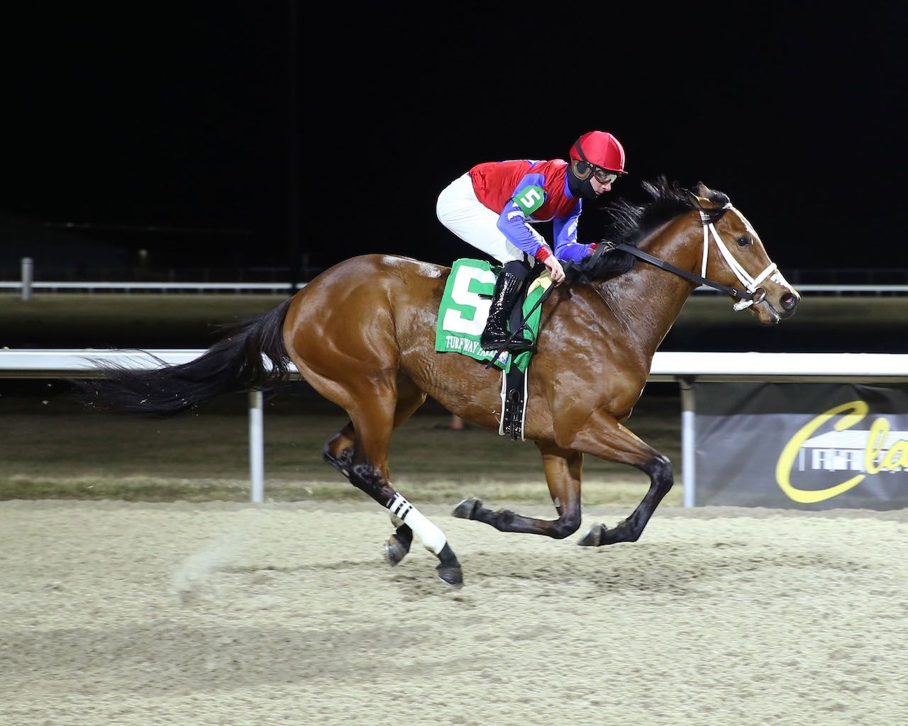 Epic Ride winning the 2024 Leonatus at Turfway