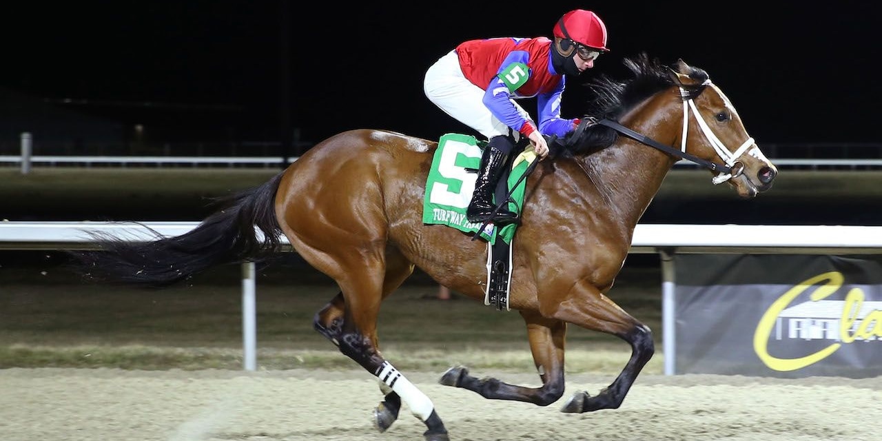 Epic Ride winning the 2024 Leonatus at Turfway
