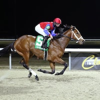 Epic Ride winning the 2024 Leonatus at Turfway