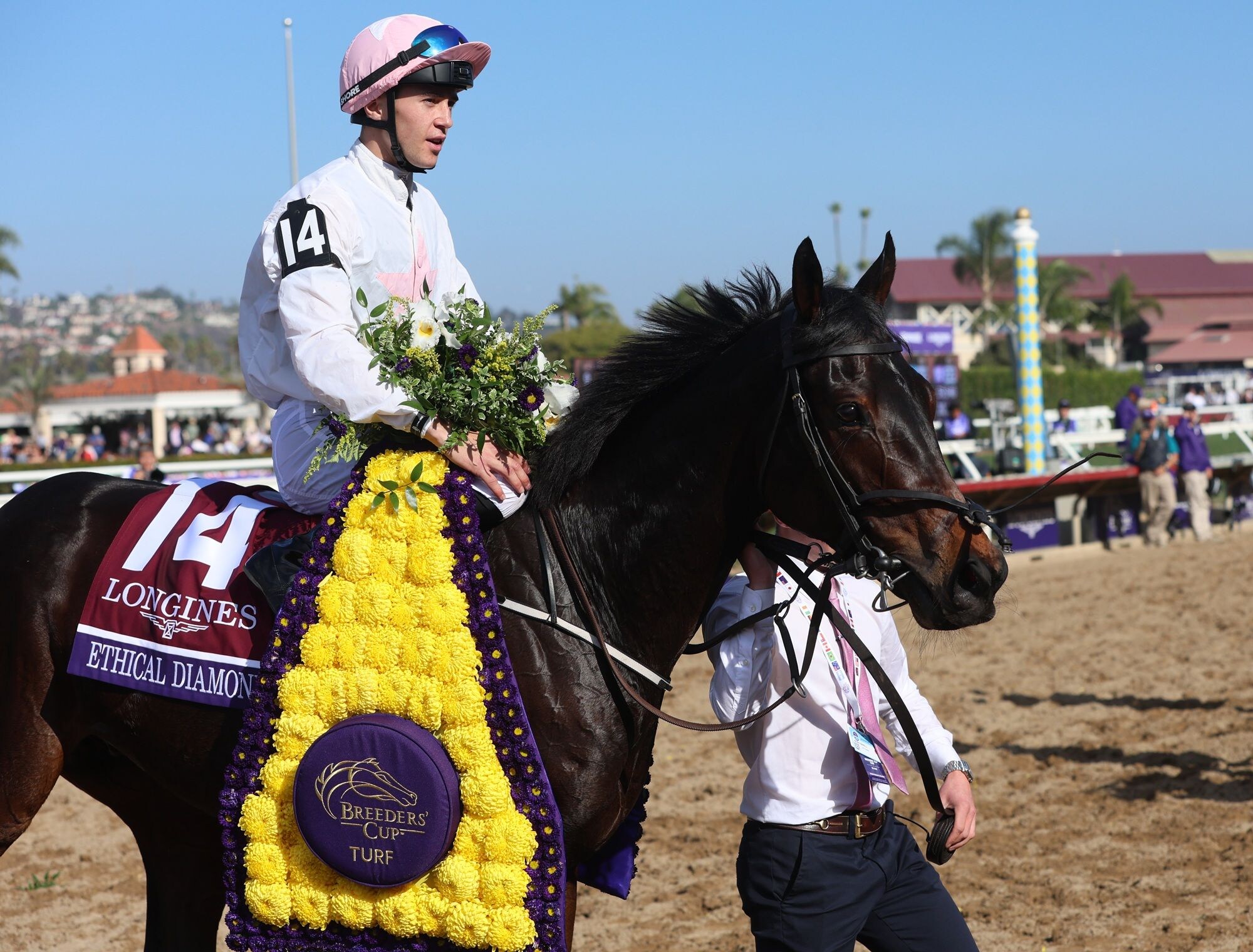 Ethical Diamond after winning the Breeders' Cup Turf (G1) at Del Mar