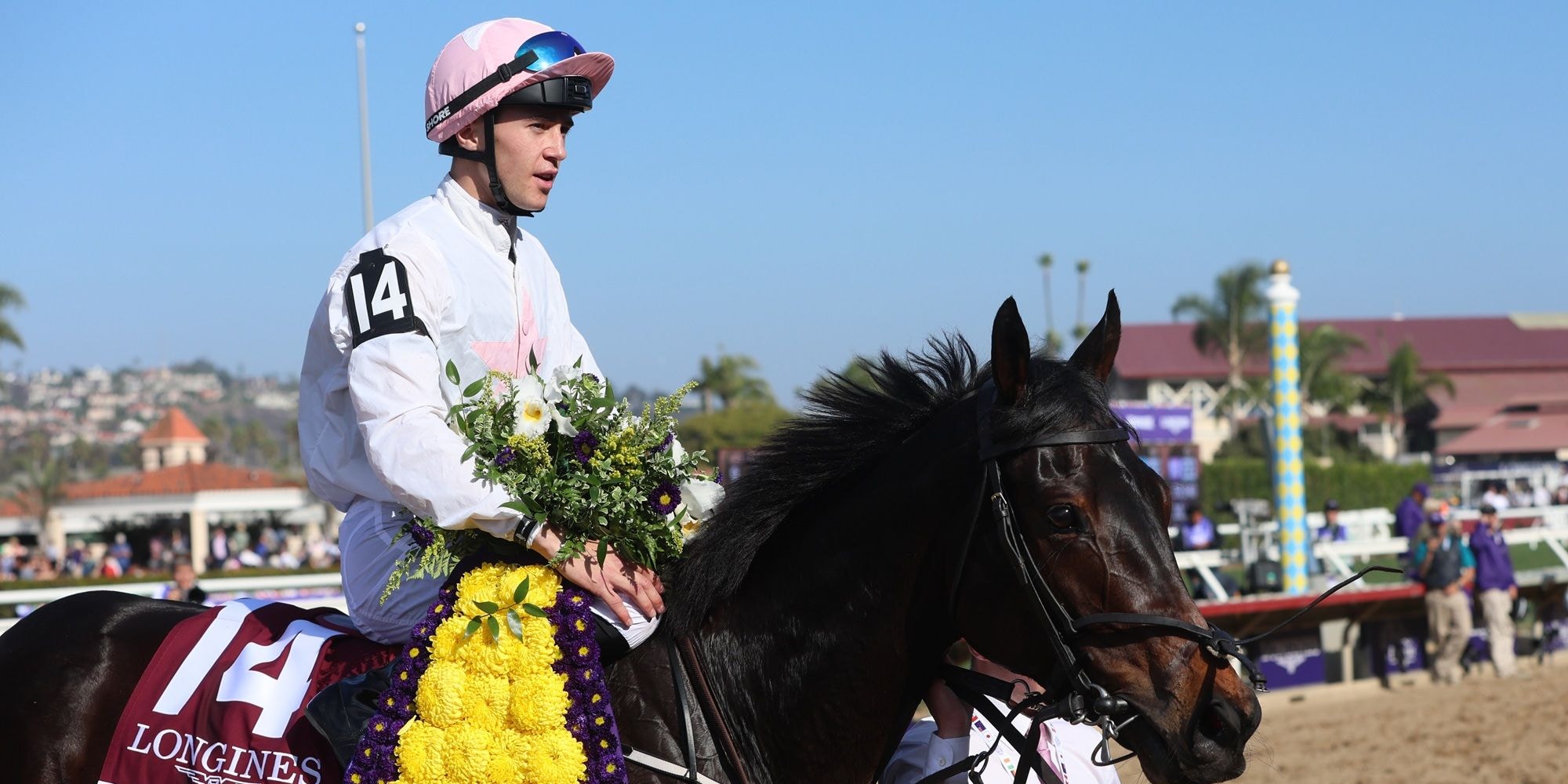 Ethical Diamond after winning the Breeders' Cup Turf (G1) at Del Mar