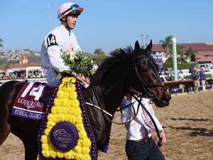 Ethical Diamond after winning the Breeders' Cup Turf (G1) at Del Mar