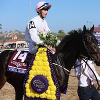 Ethical Diamond after winning the Breeders' Cup Turf (G1) at Del Mar