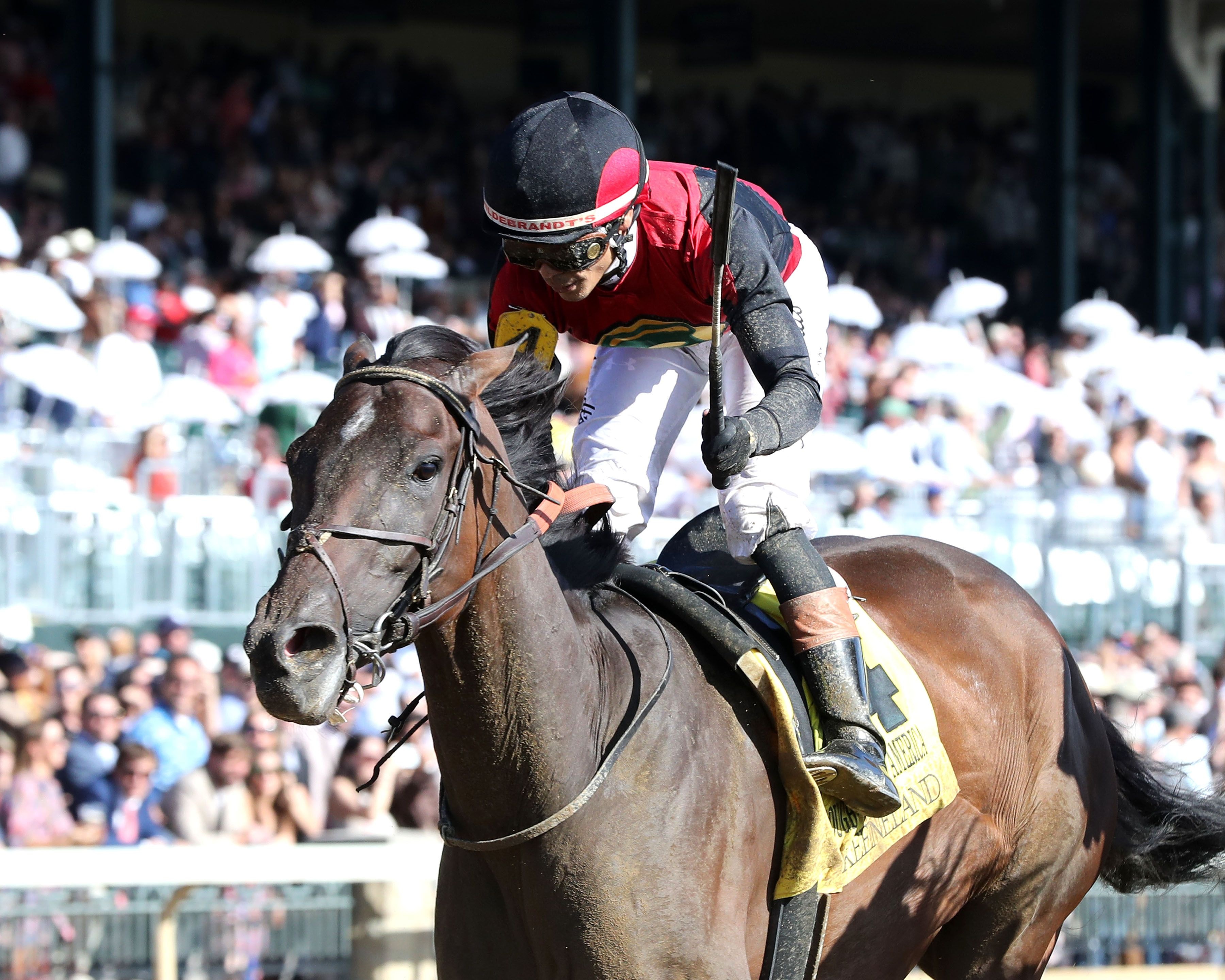 Evanescence wins the Thoroughbred Club of America (G2) at Keeneland.