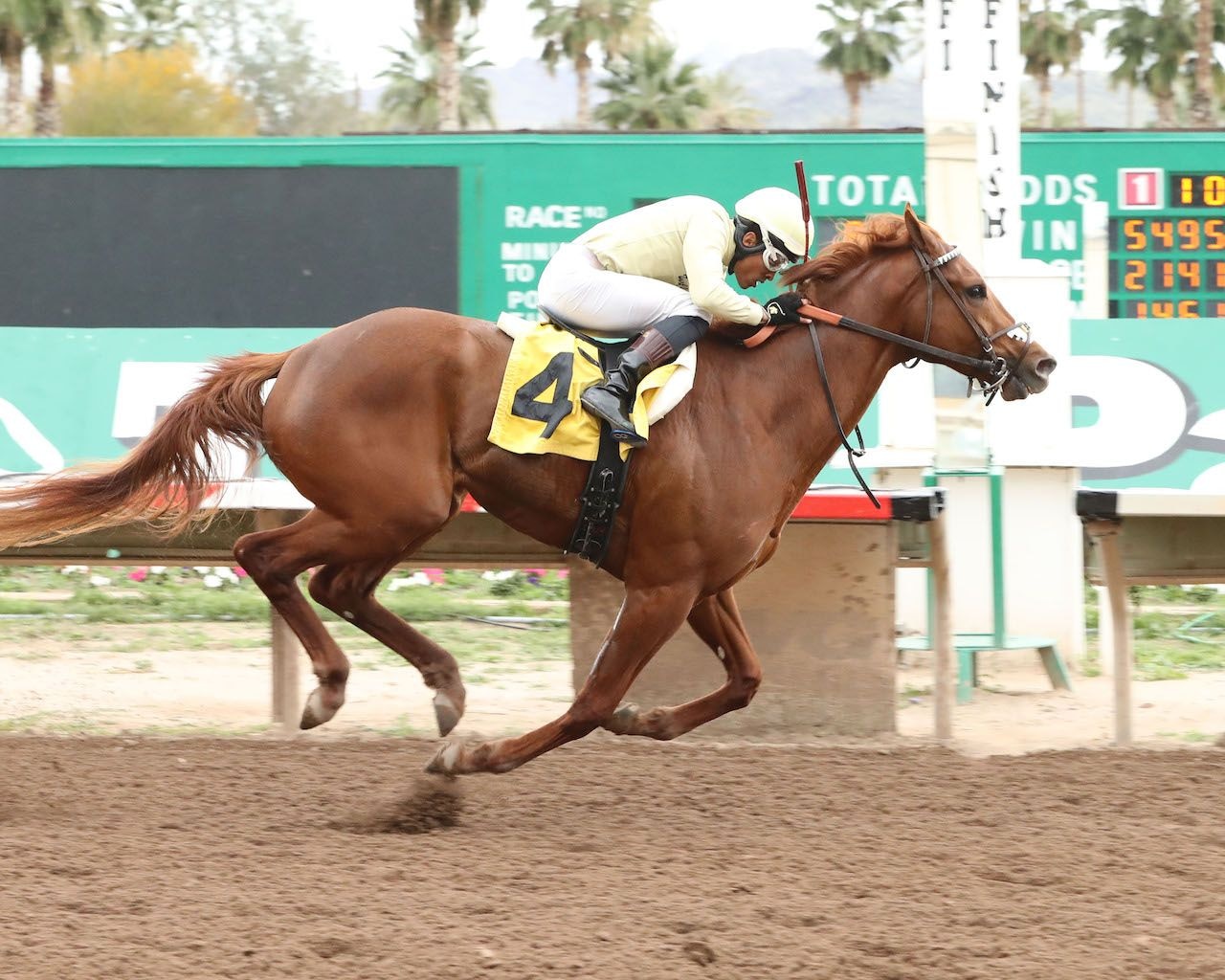 E J Won The Cup wins the Turf Paradise Derby