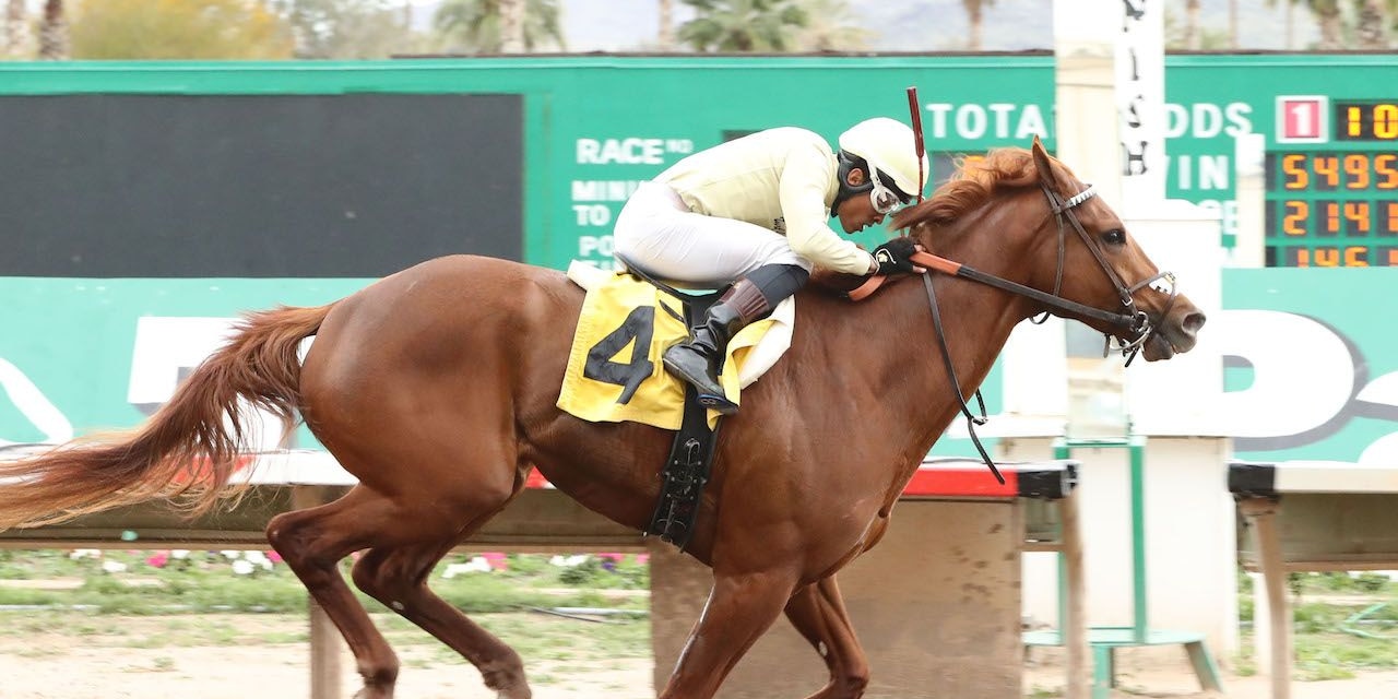 E J Won The Cup wins the Turf Paradise Derby
