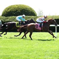 Early Adopter wins at Keeneland.