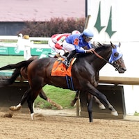 East Avenue wires the Matt Winn