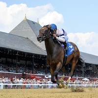Echo Sound wins the 2025 Victory Ride S. at Saratoga (Photo by Coglianese Photos)