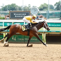 Eclatant wins at Churchill Downs.