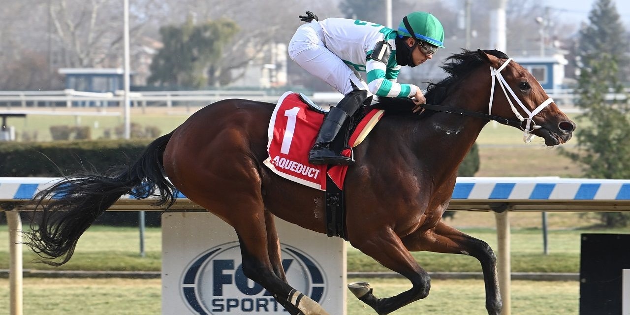 El Capi winning his debut at Aqueduct (Photo by Coglianese Photos)