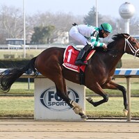 El Capi winning his debut at Aqueduct (Photo by Coglianese Photos)