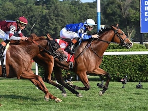 El Cordobes wins the Sword Dancer at Saratoga.