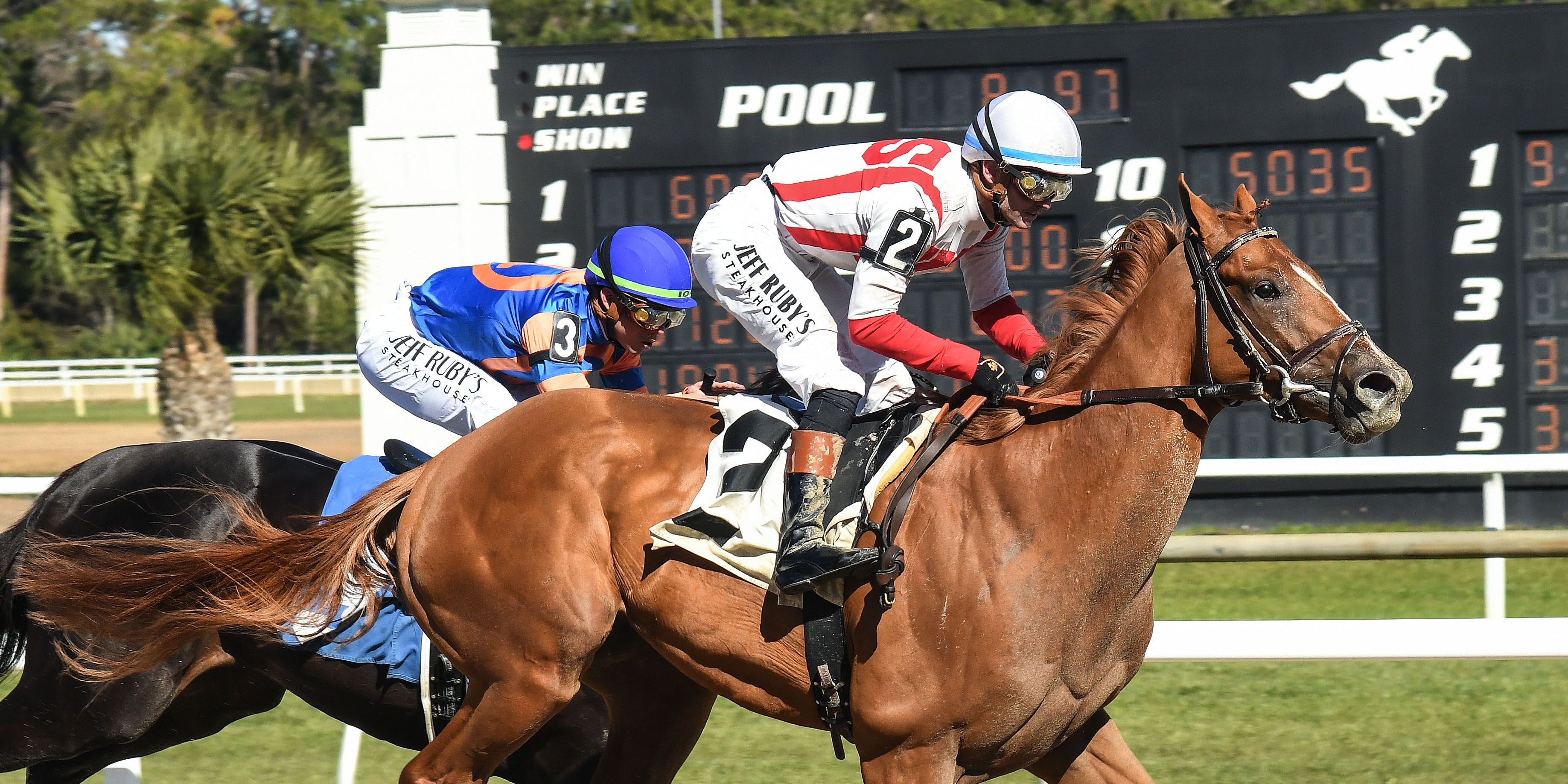 Emerging Market wins at Tampa Bay Downs. 