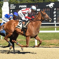 Emerging Market wins at Tampa Bay Downs.