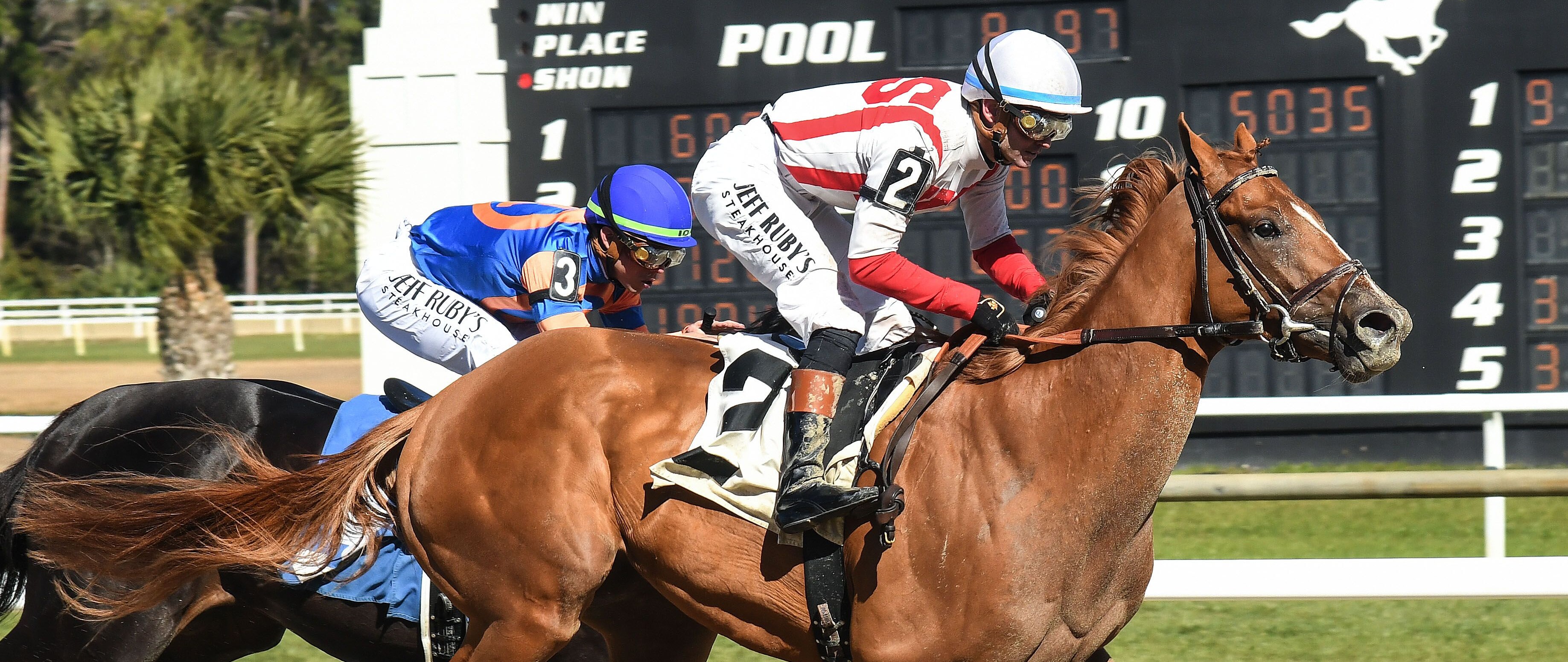 Emerging Market wins at Tampa Bay Downs.