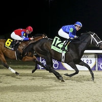 Encino winning the John Battaglia Memorial S. at Turfway Park (Photo by Coady Photography)