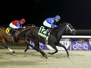 Encino winning the John Battaglia Memorial S. at Turfway Park (Photo by Coady Photography)