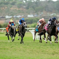 Del Mar Scenic