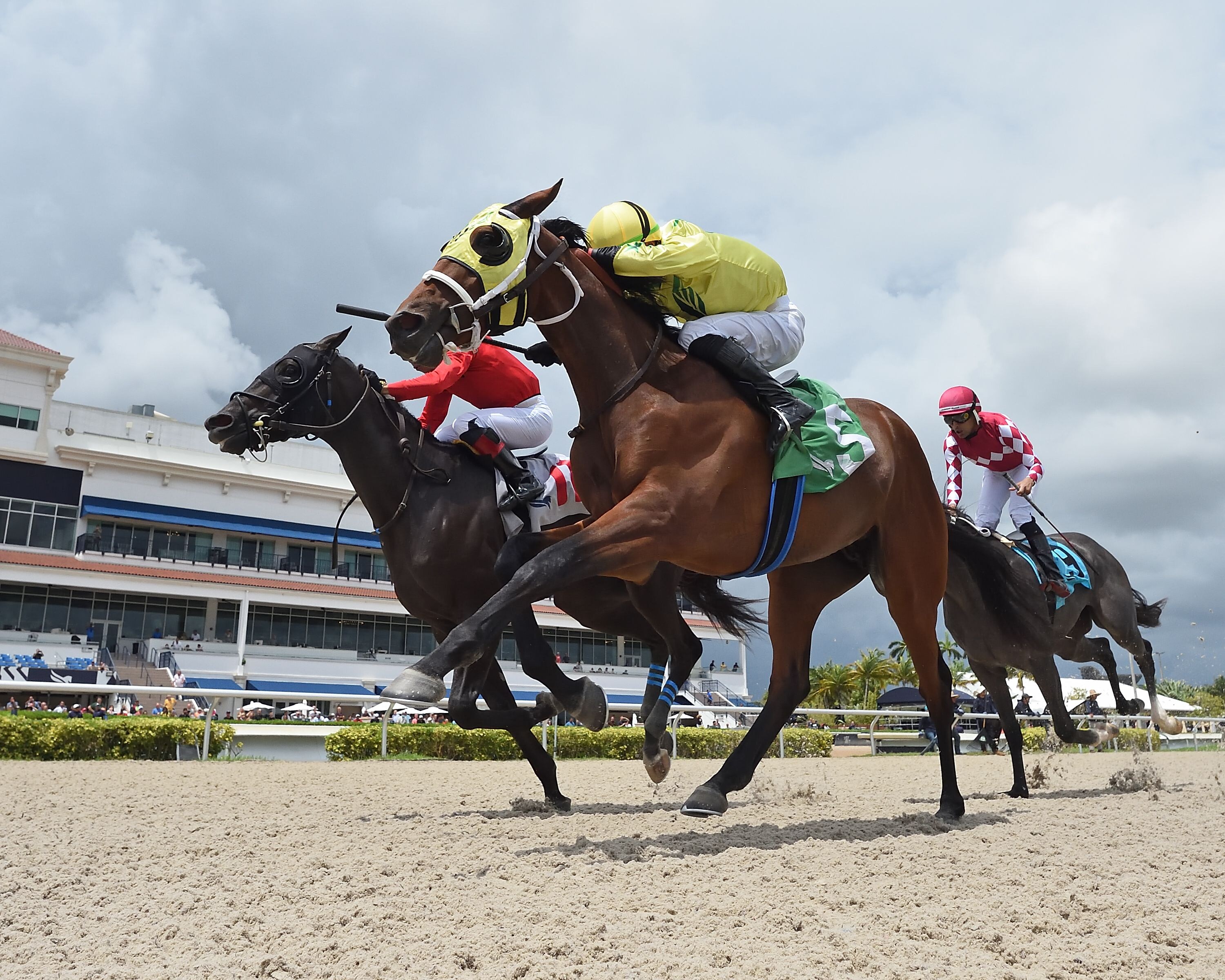 Enterdadragon wins at Gulfstream.