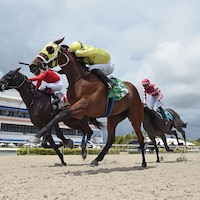 Enterdadragon wins at Gulfstream.