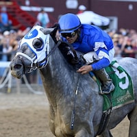 Essential Quality wins the Jim Dandy Stakes (Photo by Joe Labozzetta/Coglianese Photos)