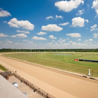 Evangeline Downs final turn track scene