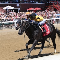 Ewing wins the Saratoga Special at Saratoga.