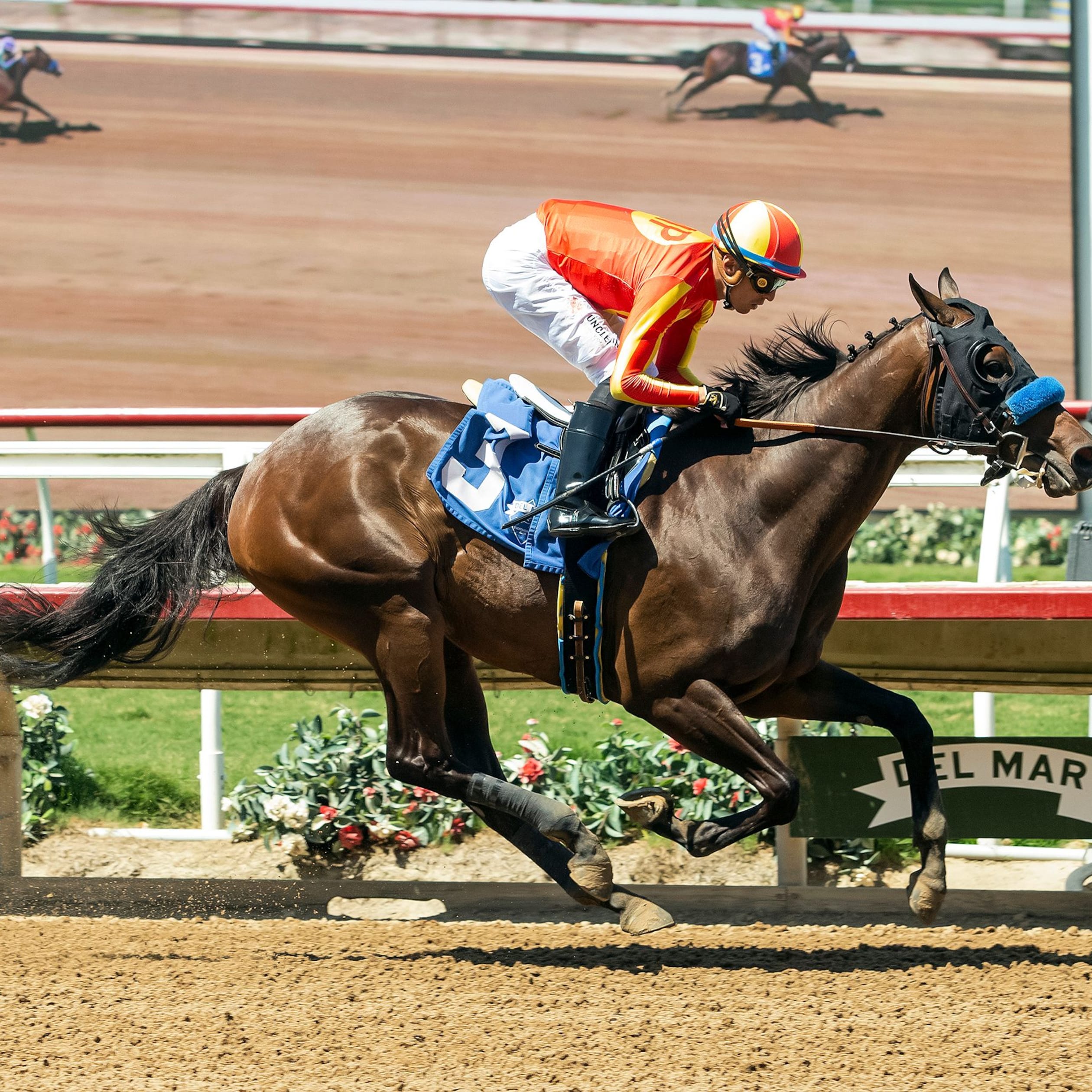 Explora exuded class in her Del Mar debut
