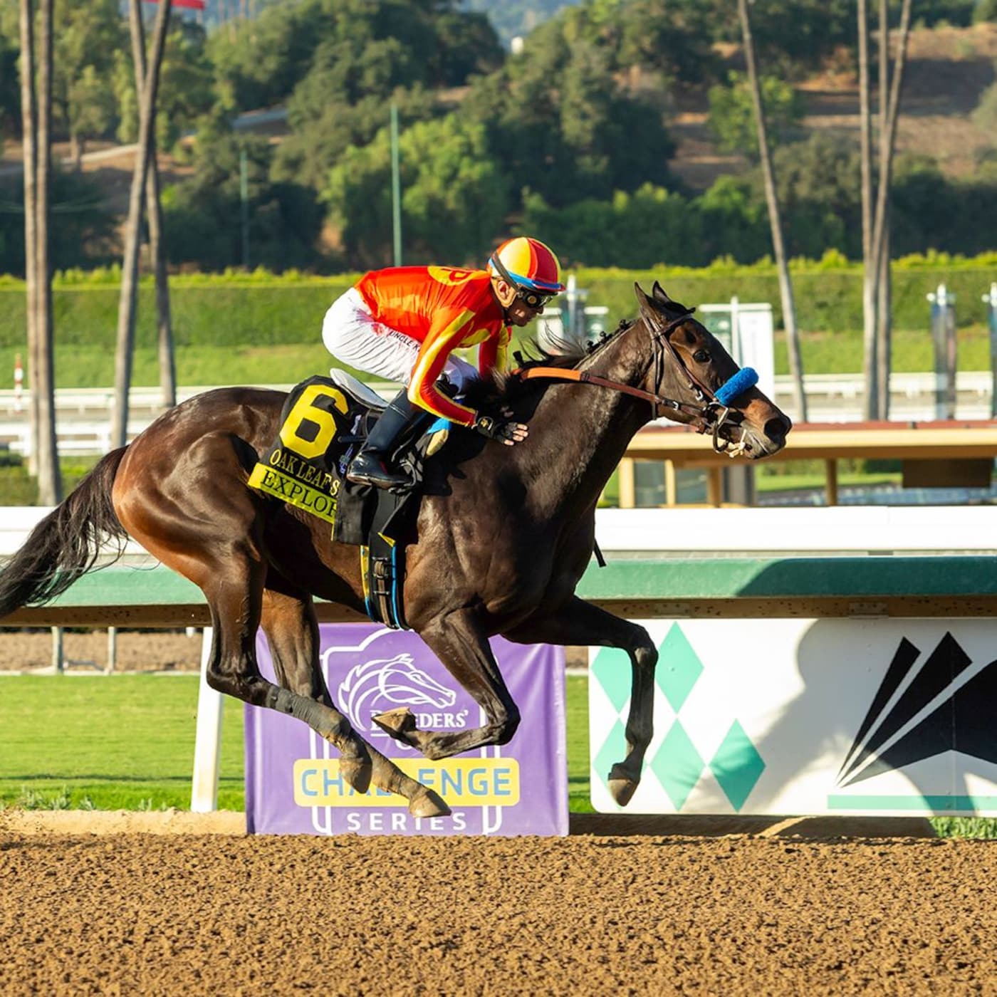 Explora winning the Oak Leaf (G2) at Santa Anita