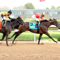 Explora defeats Counting Stars in the Honeybee (G3) at Oaklawn Park